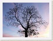 2005-11-05 17-12-45 Novembre 33,1mm 1_32_eme F4,0 * 2560 x 1920 * (2.77MB)